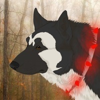 Rei Dog