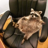 Вася Зайцев