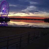 (The King Editor off Coub)