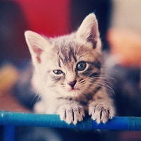 Данил Исаев