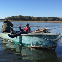 Орлик. Друзья. Щука.