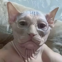NomadicRandúlfr