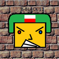 Mr Black (B-Black11)