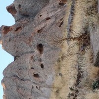 Nature of iran