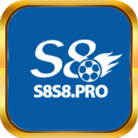 S8 S8