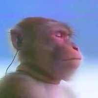 APECT0BAH_3A_SCAM