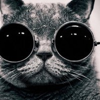 Станислав Морозов