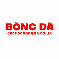 TRANG CÁ CƯỢC BÓNG ĐÁ - TỶ LỆ KÈO TỐT NHẤT CẬP NHẬT 24/7