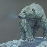 Николай Макаров