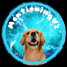 Coub profile picture for @mentioning