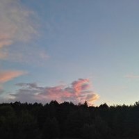 Евгений Щекотихин