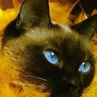 Ольга Королева