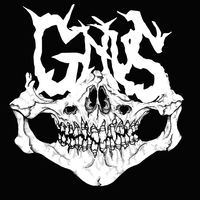 Artem Gnus