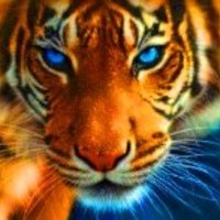 Тарикас Адакаускас