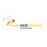 Wasp Nest Removal Hertfordshire