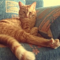 my_channel 