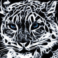 PantheraUncia