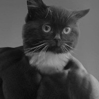 Dencher