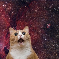 Данил Прусаков