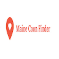 Maine Coon Finder