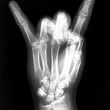 Coub - X-Ray Channel