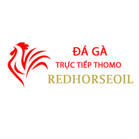 Đá Gà Trực Tiếp Thomo