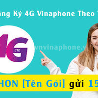 Đăng Ký 4G Vina