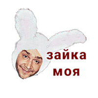 Daria Wye