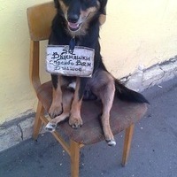 Таня Иванова