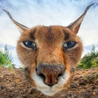 Иоанн Грозный