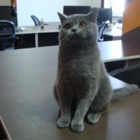 Ефим Бунин