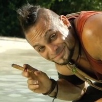 Vaas