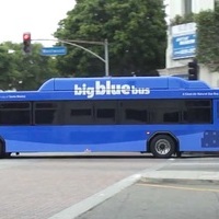 TheBigBlueFuckingBus 