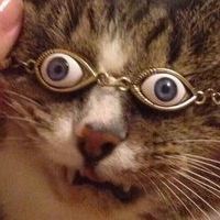 Kåmiõ