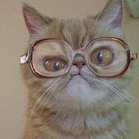 саня ратушный