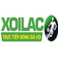 festivalforthefuture thao túng kết quả