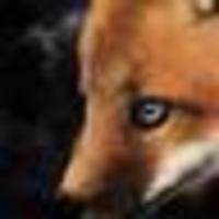 FOXhunter