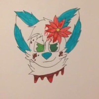 Aikothewolf 