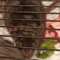Zzzzzz