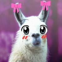 Kawaiilhama