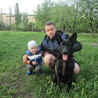 Дмитрий Тарасюк