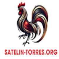 TRỰC TIẾP ĐÁ GÀ THOMO