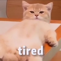 iamsomotherfuckingtiredallthetime