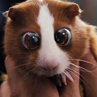 Лёша Быковский