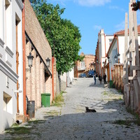 gogicha
