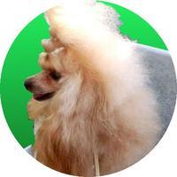 Кешью Мой Нежный Ангел