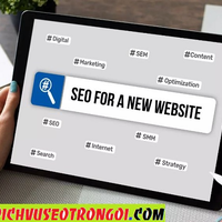 Dịch vụ SEO trọn gói