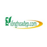 Giống Hoa Đẹp