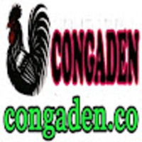 ĐÁ GÀ TRỰC TIẾP congaden