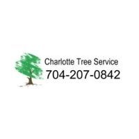 Treebien Tree Care